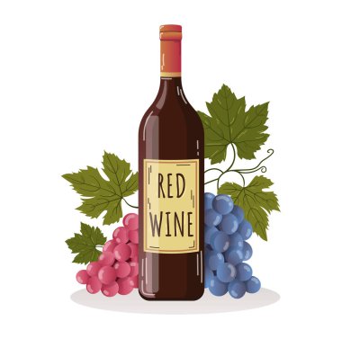 Kırmızı şarap şişesi çizimi, beyaz arka planda izole edilmiş üzüm ve yapraklarla. mor ve kırmızı renkli etiketli poster kartı web bar mahzeni hala yaşam alkollü içki bardağı