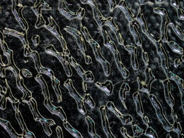 Görüntü mikroskop metali ile alındı.