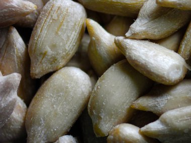 Görüntü mikroskop ayçekirdeği ile alındı.