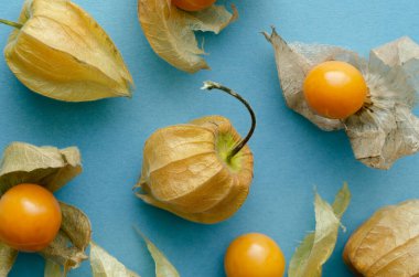 Mavi arka planda açık kabuklu birkaç Physalis meyvesi. Uzayı kopyala Üst görünüm.