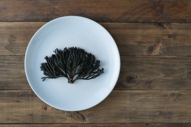 Codium fragile. Green algae in a ceramic dish on a wooden background. Copy space. Top view.