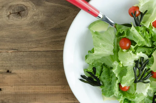 Ahşap arka planda beyaz tabakta çeşitli sebze salatası. Uzayı kopyala Üst görünüm.