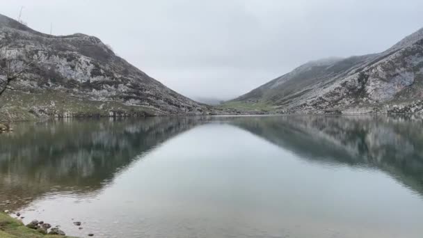 Lago Enol Montaña Covadonga Parque Nacional Los Picos Europa Patos — Vídeos de Stock