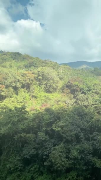Paleta Kamer Pionowym Nagraniu Zalesionego Zbocza Górskiego Wiejskiej Kolumbii — Wideo stockowe