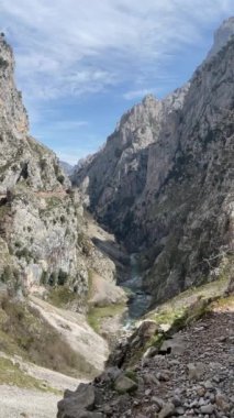 Dağ yolundaki bir kayanın üzerindeki keçiler. Picos de Europa Ulusal Parkı.