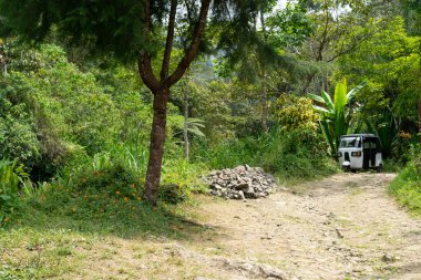 Üzerinde beyaz bir minibüs olan toprak bir yol. Yol ağaçlar ve çalılarla çevrili.