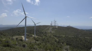 Bir arı mor bir çiçeğin üzerinde uçuyor. Çiçek yeşil çimlerle çevrilidir. Huzur ve doğal güzellik kavramı