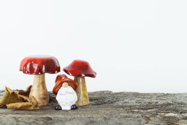 Bir cüce iki kırmızı mantarın arasında duruyor. Mantarlar ahşap bir yüzeyde. Cüce şapka takıyor ve kameraya bakıyor. Sahne tuhaf ve eğlenceli, cücelerle dolu.