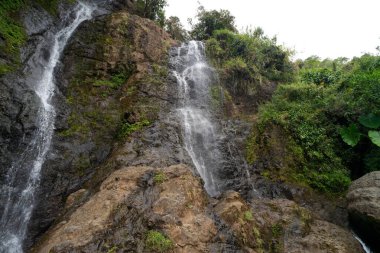 Arkasında yemyeşil bir orman olan bir şelale. Su kayalardan aşağı akıyor ve ağaçlar uçurumun kenarında büyüyor.