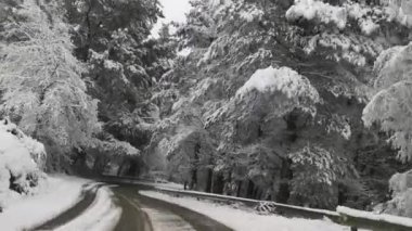 Okyanus sakin ve gökyüzü açık. Kumsal boş ve su hala duruyor.