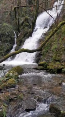 Okyanus sakin ve gökyüzü açık. Su beyaz ve kum kahverengi.