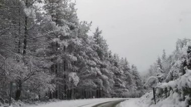 Okyanus sakin ve gökyüzü açık. Su beyaz ve kum kahverengi.