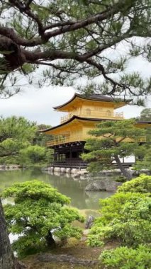 Arka planında sarı bir bina olan güzel bir Japon bahçesi. Altın köşkün Kinkakuji Tapınağı.