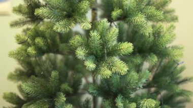 Arka planında sarı bir bina olan güzel bir Japon bahçesi. Altın köşkün Kinkakuji Tapınağı.