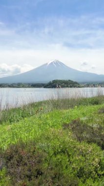 Arka planında sarı bir bina olan güzel bir Japon bahçesi. Altın köşkün Kinkakuji Tapınağı.