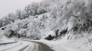Arkasında ağaçlar olan karlı bir yol. Yol boş ve kar zemini kaplıyor.