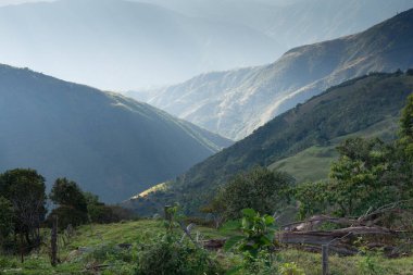 Dağlar ağaçlarla kaplı ve gökyüzü bulutlu. Dağlar çok yüksek ve ağaçlar yeşil.