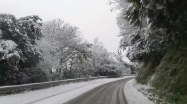 Arkasında ağaçlar olan karlı bir yol. Yol boş ve kar zemini kaplıyor.