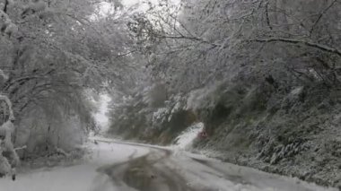 Arkasında ağaçlar olan karlı bir yol. Kar zemini kaplıyor ve ağaçlar çıplak.