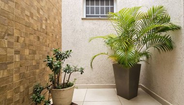 Hindistan cevizi ağaçları ve sulu saksıları olan kış bahçesi, duvarda ahşap kaplama ve zeminde yumuşak tonlarda. Arkaplandaki pencere.