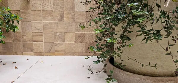 Modern bir evin içinde.