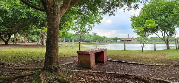 Büyük bir ağacın yanında beyaz beton. Çimenli ve çamurlu topraklar. Arka planda göl ve gölün etrafında birkaç ağaç ve koltuk..