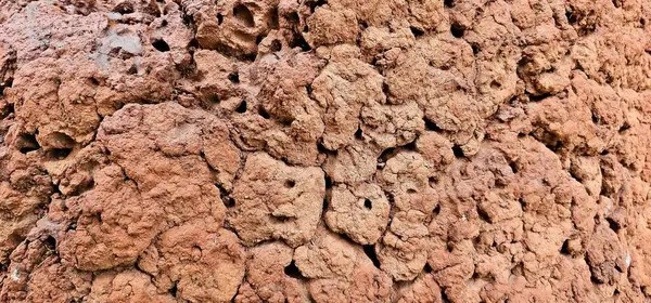Kuru çamurdan yapılmış termit höyüğü dokusu. Yapısı termitler tarafından yapılmış. Dirençli kahverengi kil. Kil yapılar inşa eden böcekler..