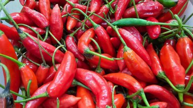 Büyük miktarda acı kırmızı biber. Yeşil saplı kırmızı biber. Baharatlı ve lezzetli yiyecekler üretmek için biber..