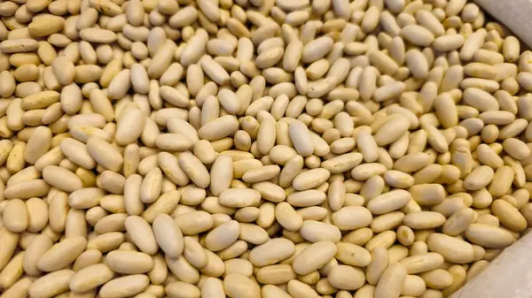 Brezilya 'ya özgü bir sürü beyaz fasulye dolu çanta. Pişirmek için bir torba beyaz fasulye. Sağlıklı besin üretmek için beyaz fasulye. Besleyici yemekler..