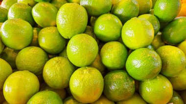 Buzlu limonata yapmak için yeşil ve ekşi limonlar. Limon ağacının meyvesi. Mevsimlik yemek için güzel ekşi.