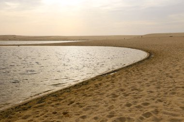 Portekiz 'in Alentejo bölgesinde Santo Andre ve Sancha' nın doğal rezervleri.