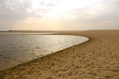 Portekiz 'in Alentejo bölgesinde Santo Andre ve Sancha' nın doğal rezervleri.