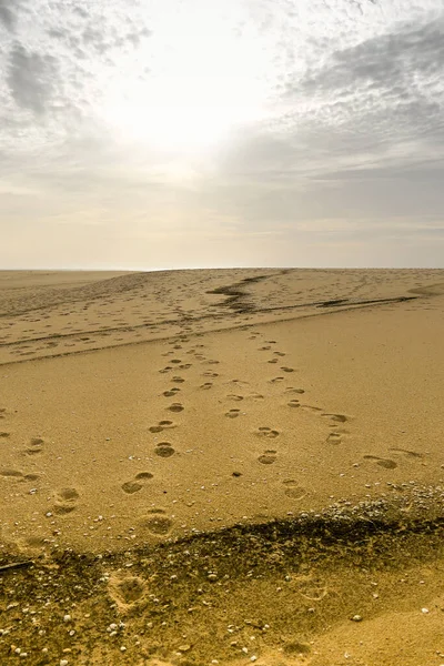 stock image Human footprints on a beach dune in winter