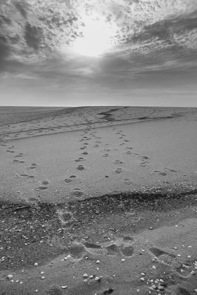 Impronte Umane Una Duna Spiaggia Inverno — Foto Stock