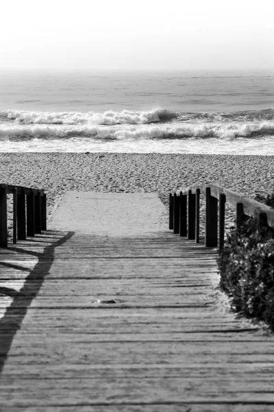 ポルトガルの晴れた日の朝のポルトガルのビーチへの木製の歩道 — ストック写真