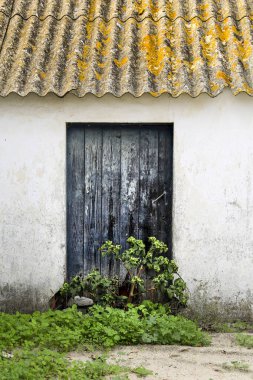 Portekiz 'de bitkileri ve uralit tavanı olan eski mavi ahşap kapı.