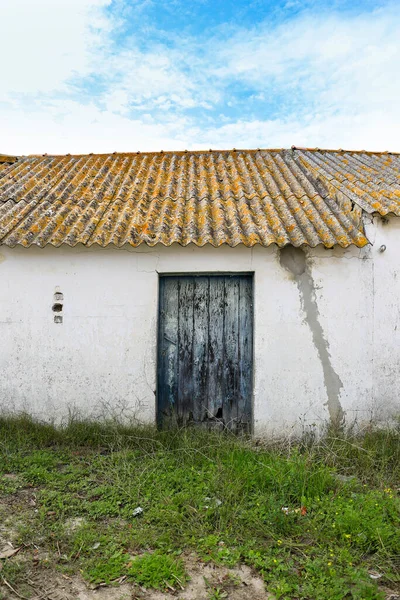 Portekiz Bitkileri Kentsel Çatısı Olan Eski Mavi Ahşap Kapı — Stok fotoğraf