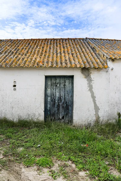 Oude Blauwe Houten Deur Met Planten Uraliet Dak Portugal — Stockfoto