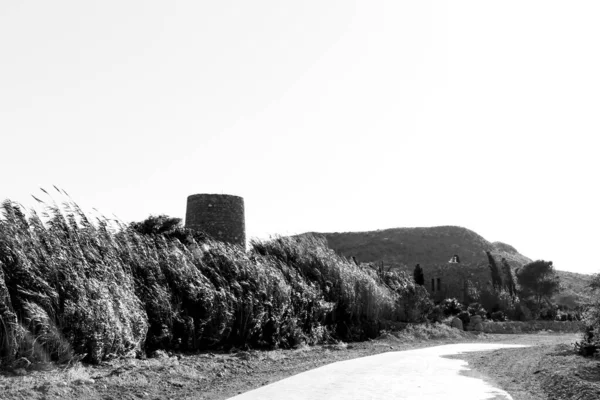 プレアゾビーチ ロダルキラー アルメリアの葦と植生に囲まれた古い塔と道 — ストック写真