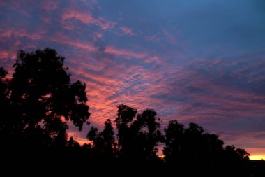 Yazın Alicante 'de Sunset' te Pembe Bulutlar ve güzel gökyüzü