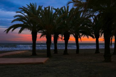 Santa Pola, Alicante, İspanya 'daki Levante plajında gün doğumunda sahil vahası.
