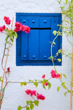 Endülüs, İspanya 'da mavi ahşap pencereli ve begonvilli bembeyaz cephe