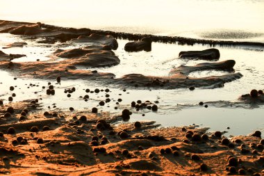 Kuru okyanus poziyonları kumsalda yosun topları ve güneşli bir kış gününde kum dokusu.