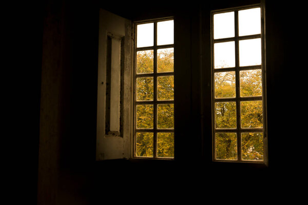 Green trees through old wooden window in Portugal in winter
