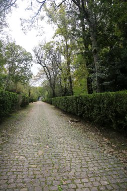 Lisbon, Portugal- November 28, 2022:Topiary art garden in the Garden of Queluz Palace in winter