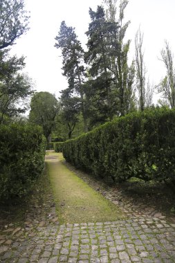 Lisbon, Portugal- November 28, 2022:Topiary art garden in the Garden of Queluz Palace in winter
