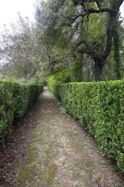 Lisbon, Portugal- November 28, 2022:Topiary art garden in the Garden of Queluz Palace in winter