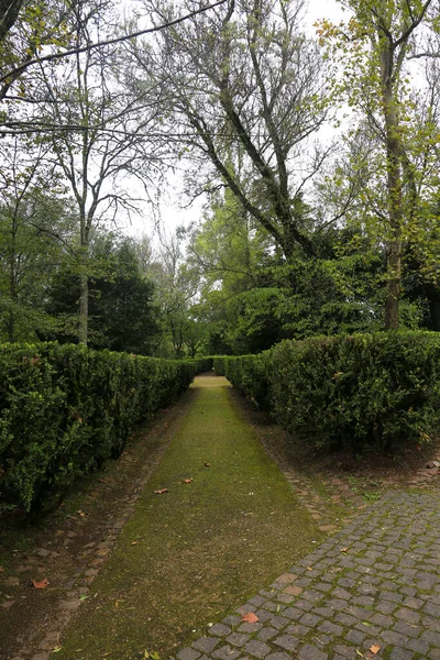 Lisbon, Portugal- November 28, 2022:Topiary art garden in the Garden of Queluz Palace in winter
