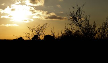 Clouds and lovely sky at Sunset in Santa Pola in winter