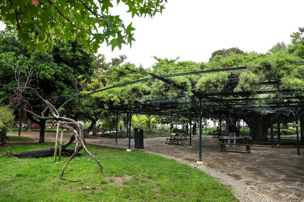 Lissabon Portugal Maart 2019 Prachtige Groene Tuin Genaamd Principe Real — Stockfoto